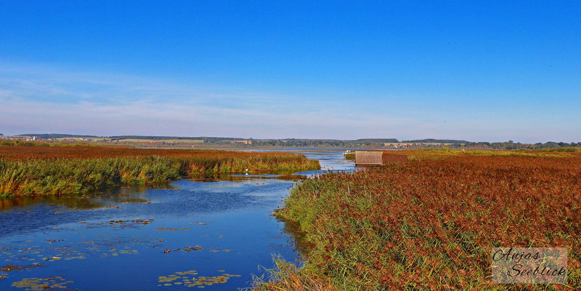 Federsee Bad Buchau Steeg Herbst