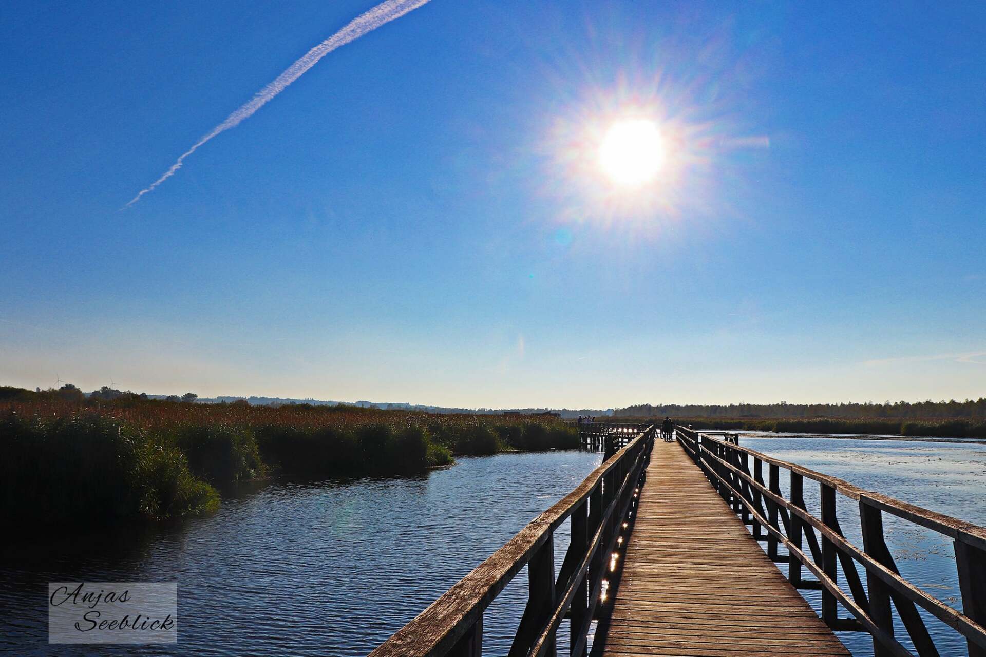 Federsee Bad Buchau Steeg Herbst