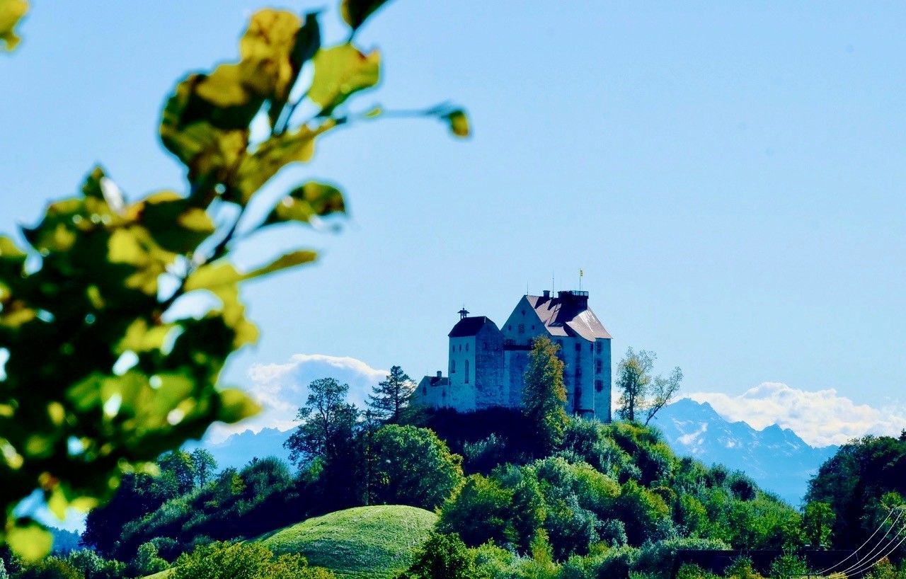Die Waldburg - Bodensee Oberschwaben