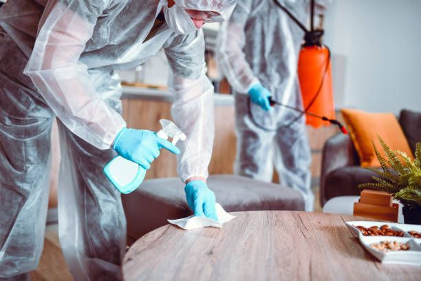 Worker in protective suit disinfecting a couch with a spray bottle indoors