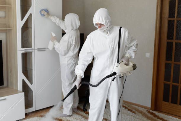 Two workers in white protective suits spraying insecticide inside a home doorway