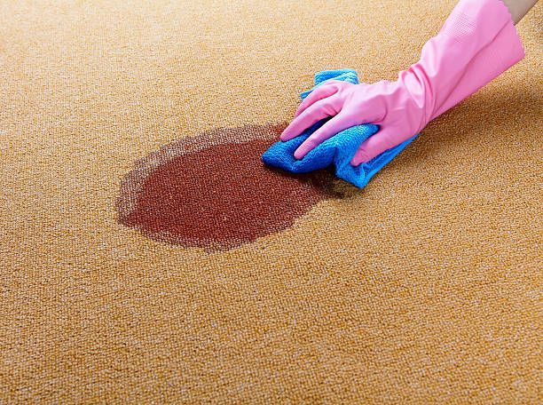 Gloved hand wiping a red stain from a beige carpet with a blue cloth