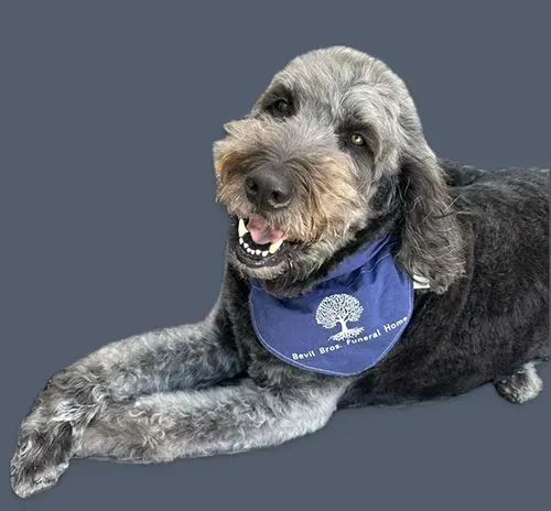 Staff Photo