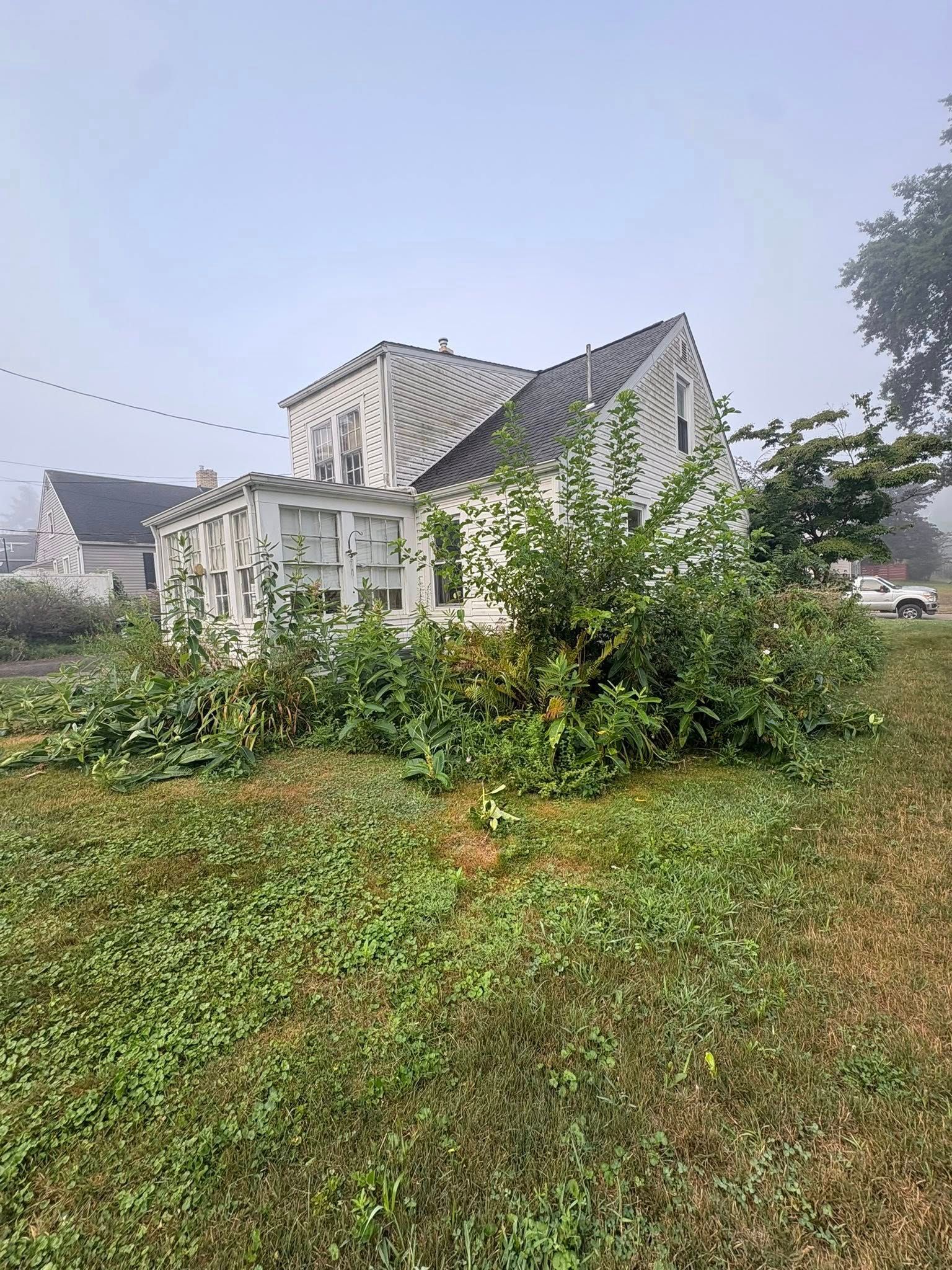 Overgrown front yard with shrubs in front of a white house with a steep gray roof