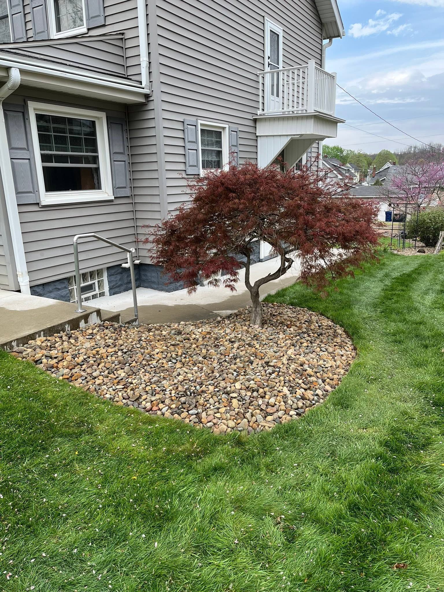 Red-leaf ornamental tree in a rock mulch bed beside a gray house and green lawn.