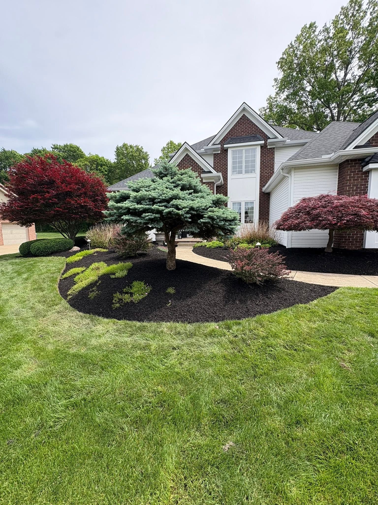 Landscaped front yard with a small ornamental tree, red shrubs, and a brick house in the background