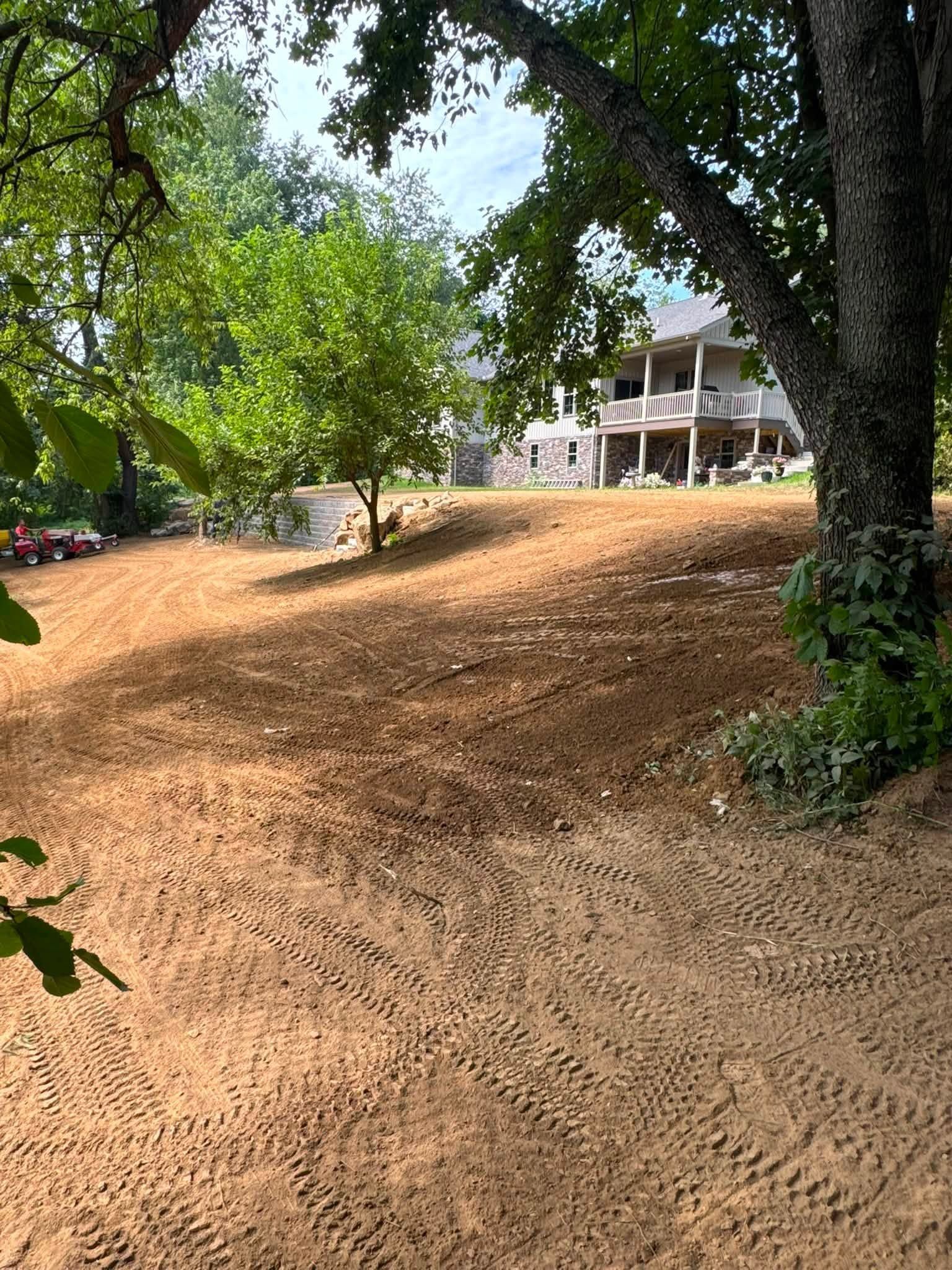 Dirt path under large trees leading to a white house on a sunny hillside