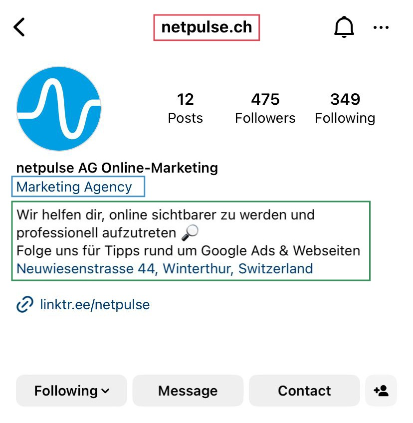 Ein Screenshot der netpulse ag Online Marketing Marketing Agentur