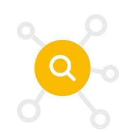 Icon Search Network