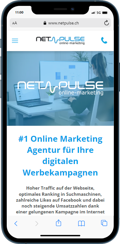 Titelstruktur Beispiel netpulse