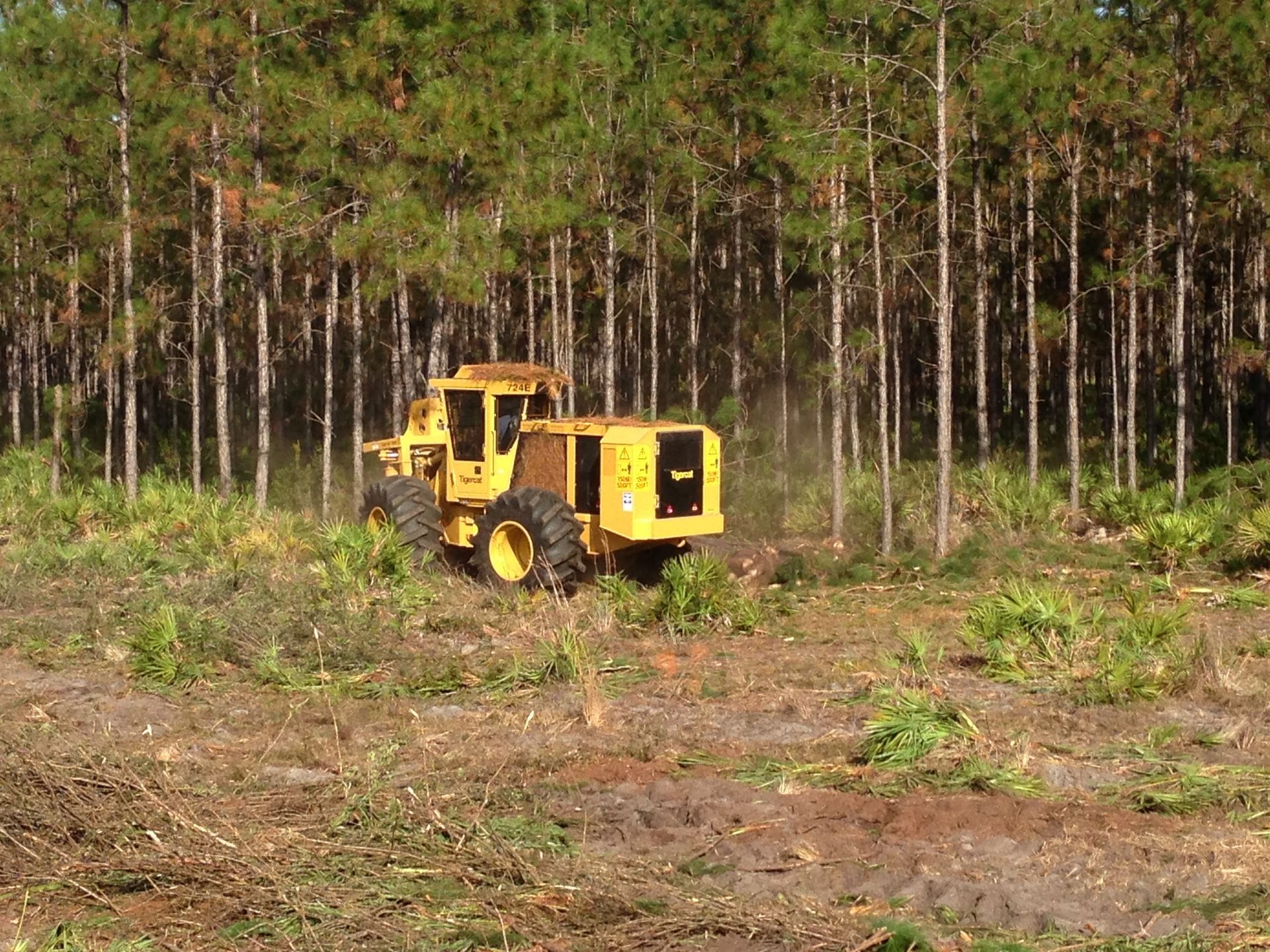 A yellow tractor is cutting down trees in a forest