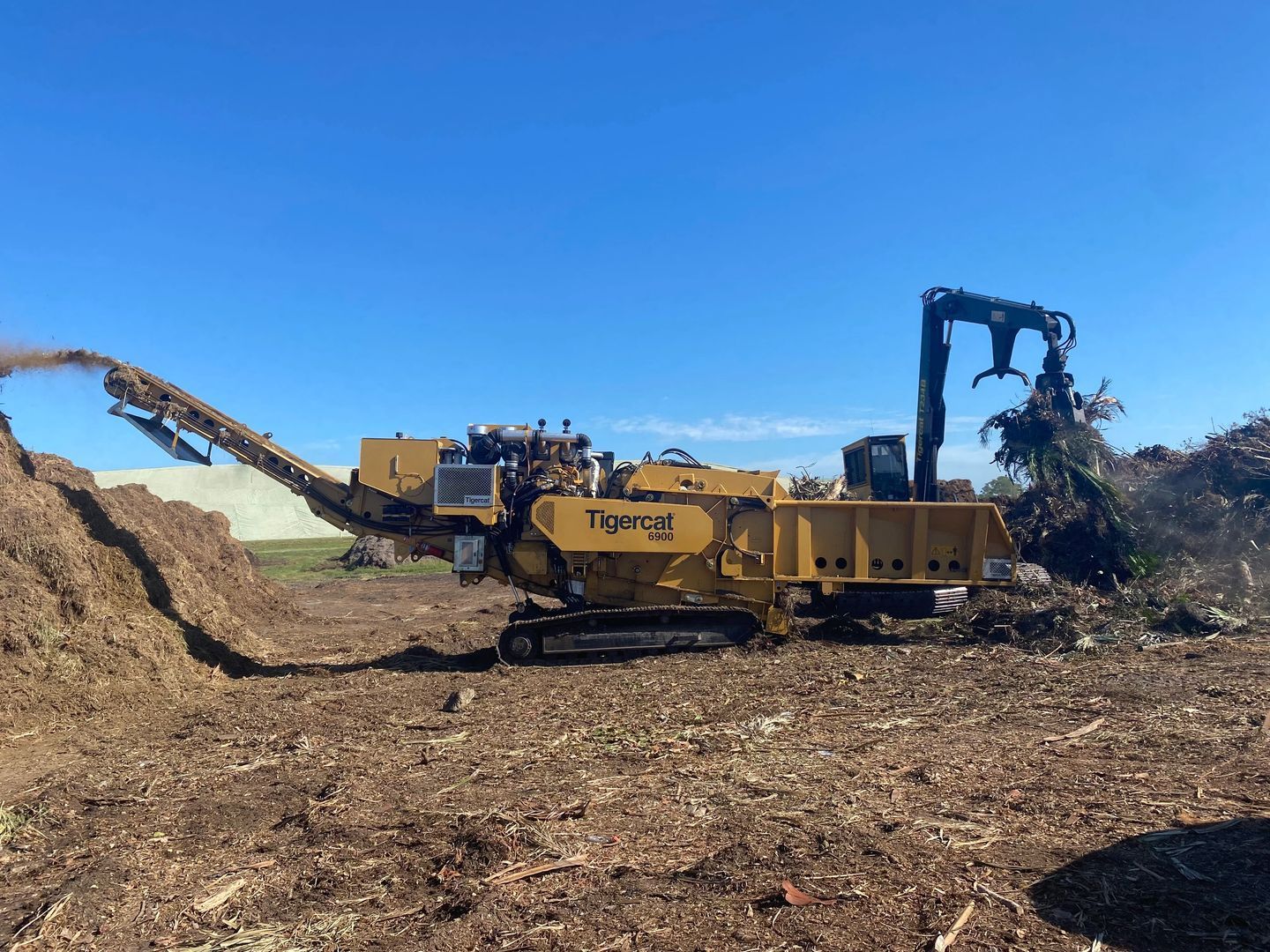 A large yellow machine is cutting down trees in a field.