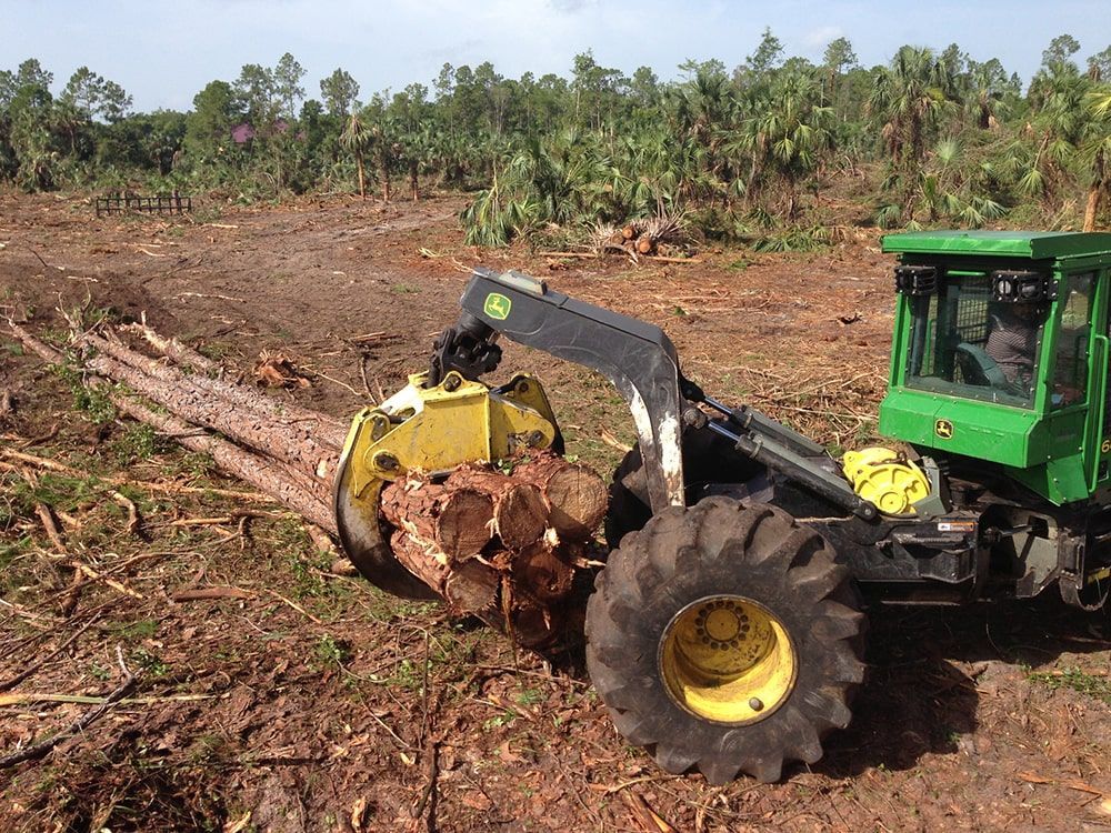 A john deere tractor is cutting down trees in a field