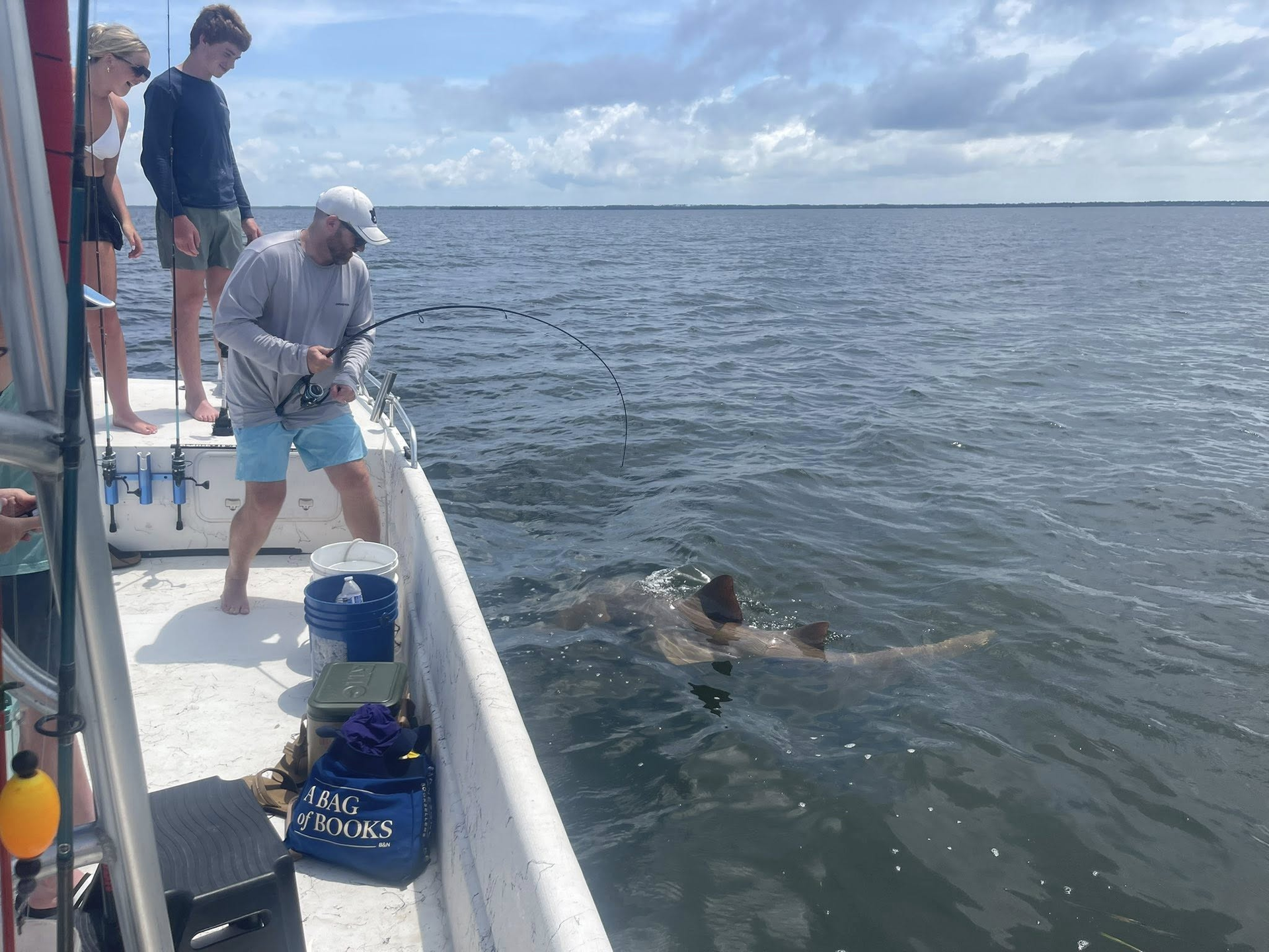 A person on a boat reels in a shark visible near the water's surface as others watch.