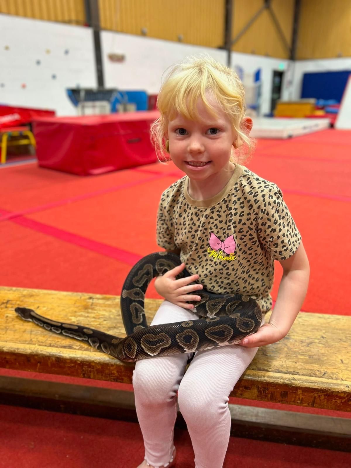 AAAsports Holiday Fun Day