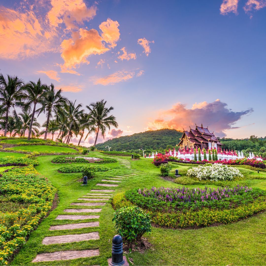 Ein üppiger grüner Garten mit einem Haus im Hintergrund bei Sonnenuntergang.