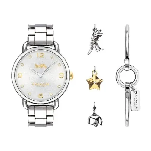 【COACH】質感閃金時尚腕錶/附綴飾手鐲 36mm (14000056)-funtastic方采