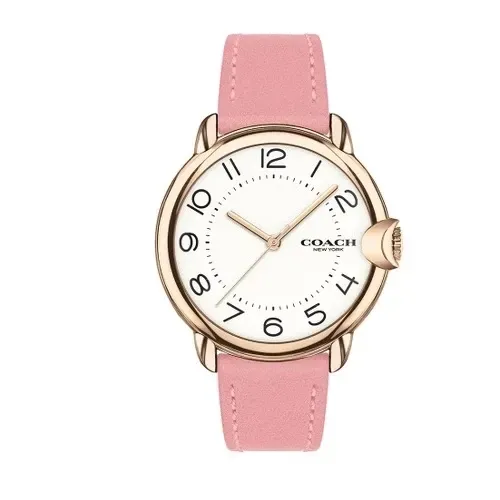 【COACH】時尚淑女皮帶錶 36mm (14503608)-funtastic方采
