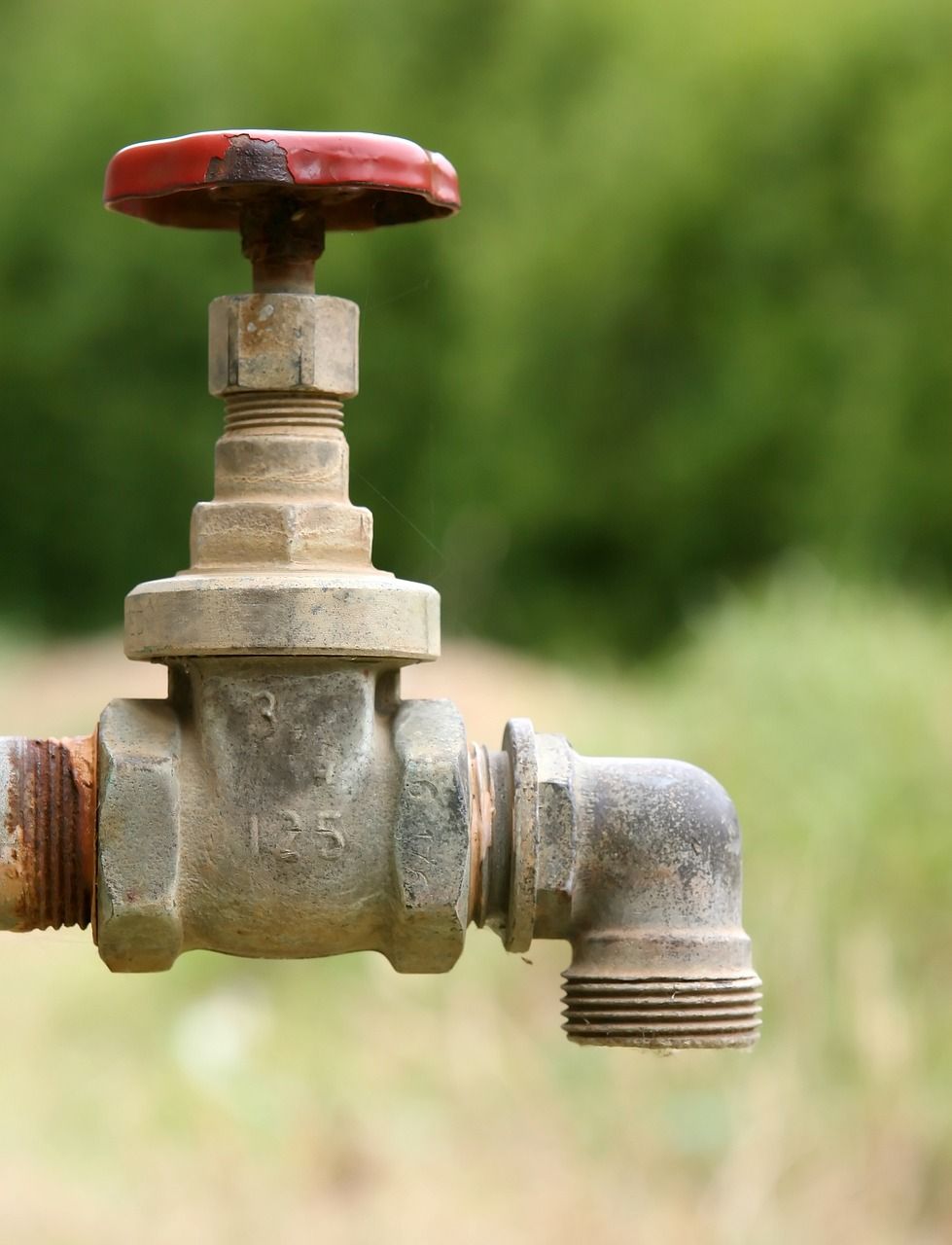 Close-up of a rusty outdoor water valve with a red handwheel against a blurred green background