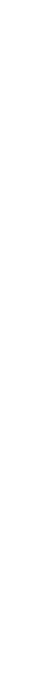 Custom Divider
