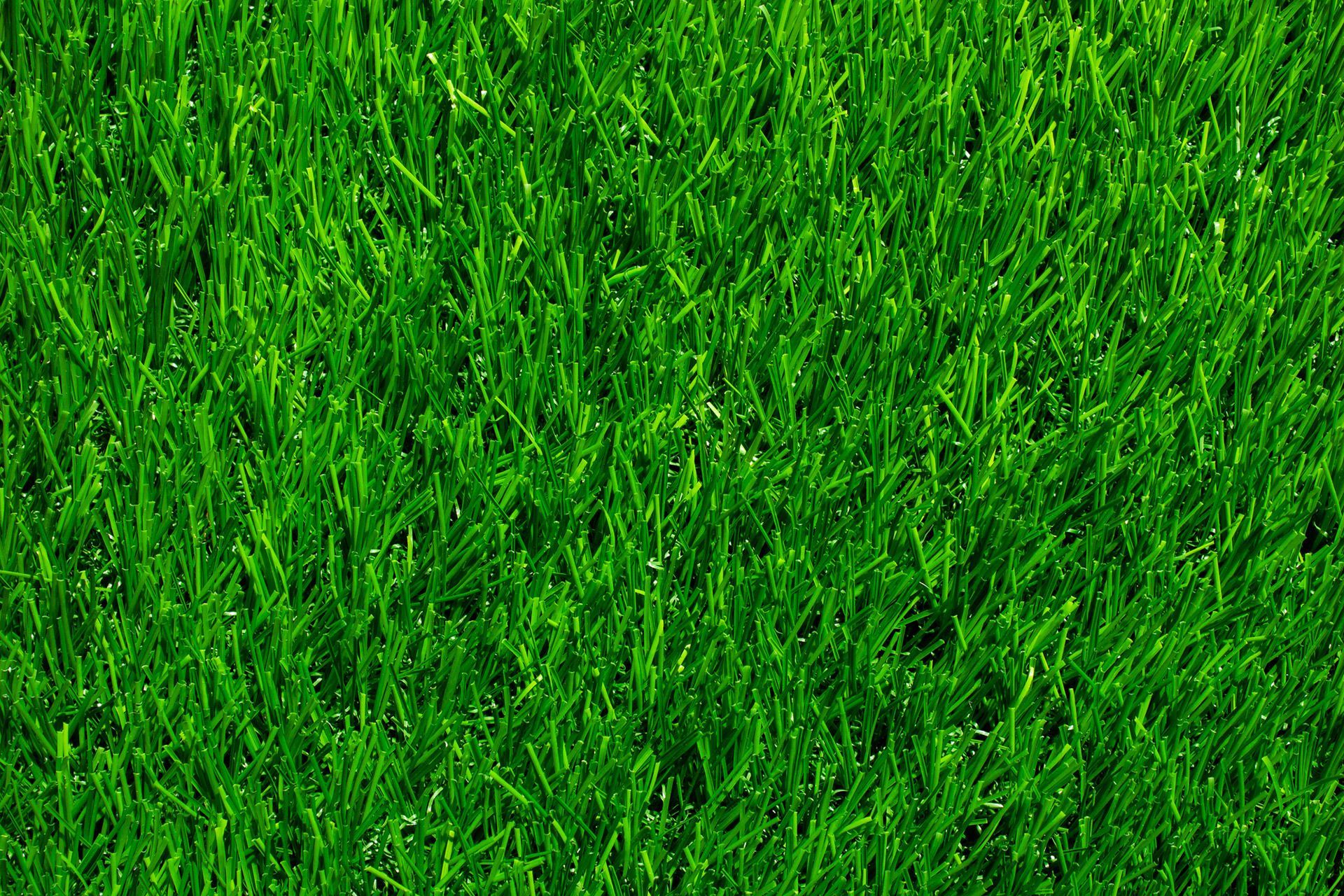 Fresh green lawn Fresh green lawn
