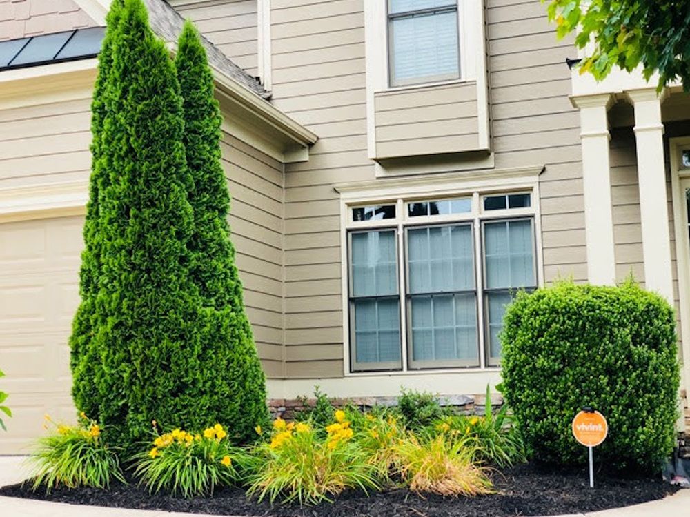 A house with a lot of trees in front of it