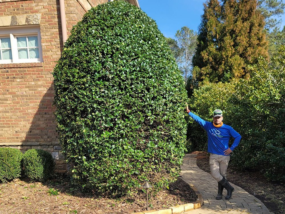 A man is standing next to a large bush in front of a brick building