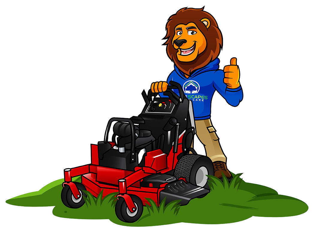 Bluescapes Lion Mascot with lawn mower and thumbs up Bluescapes Lion Mascot with lawn mower and thumbs up