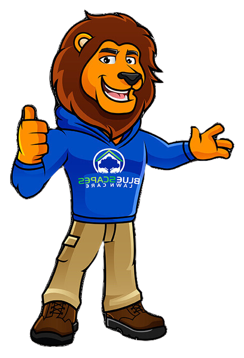 Bluescapes Lion Mascot with thumbs up Bluescapes Lion Mascot with thumbs up