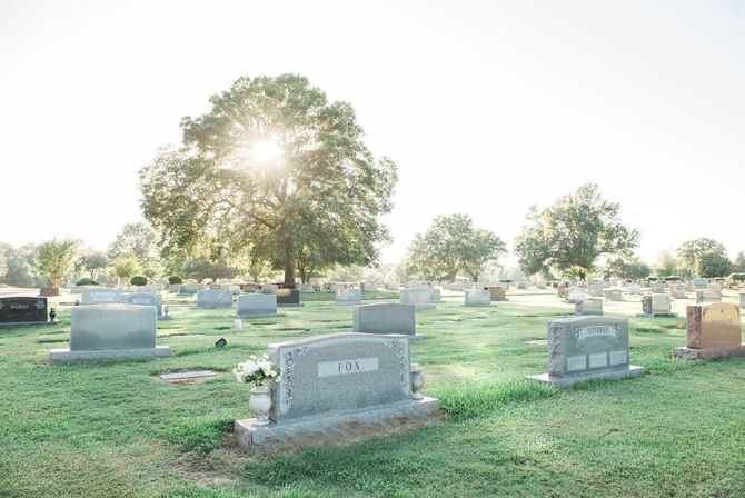 Sunny cemetery with large oak tree and rows of gravestones in a grassy field