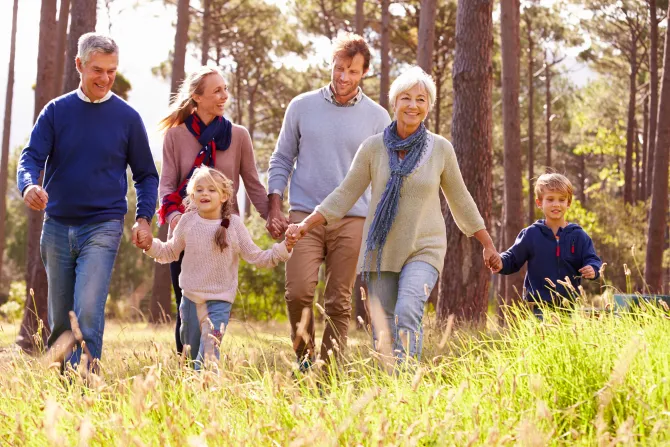 Family walking hand in hand through a sunny park with tall grass and trees