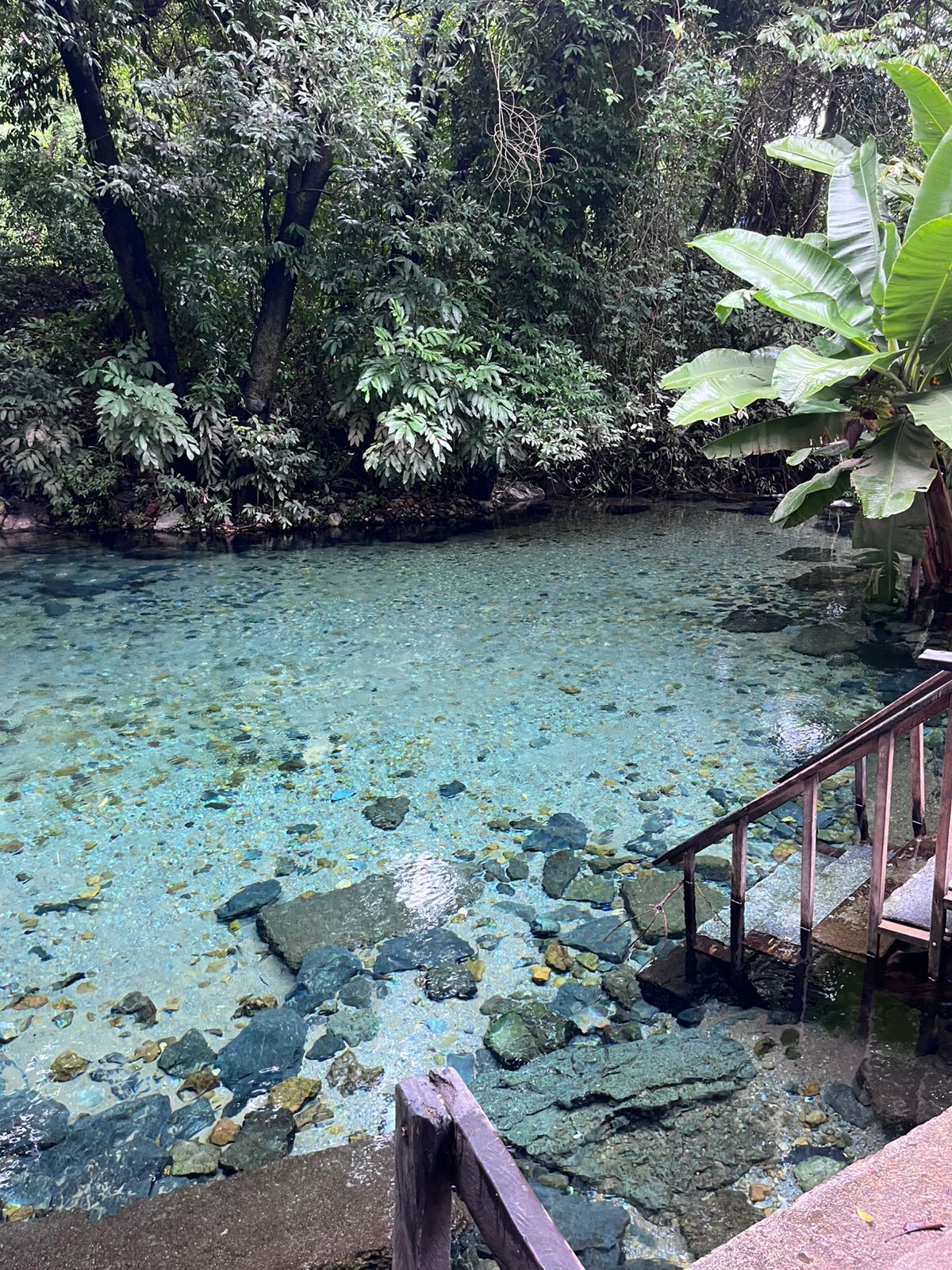 Uma piscina natural de água turquesa, cercada por árvores e plantas exuberantes, com uma escadaria de madeira que leva até a água.