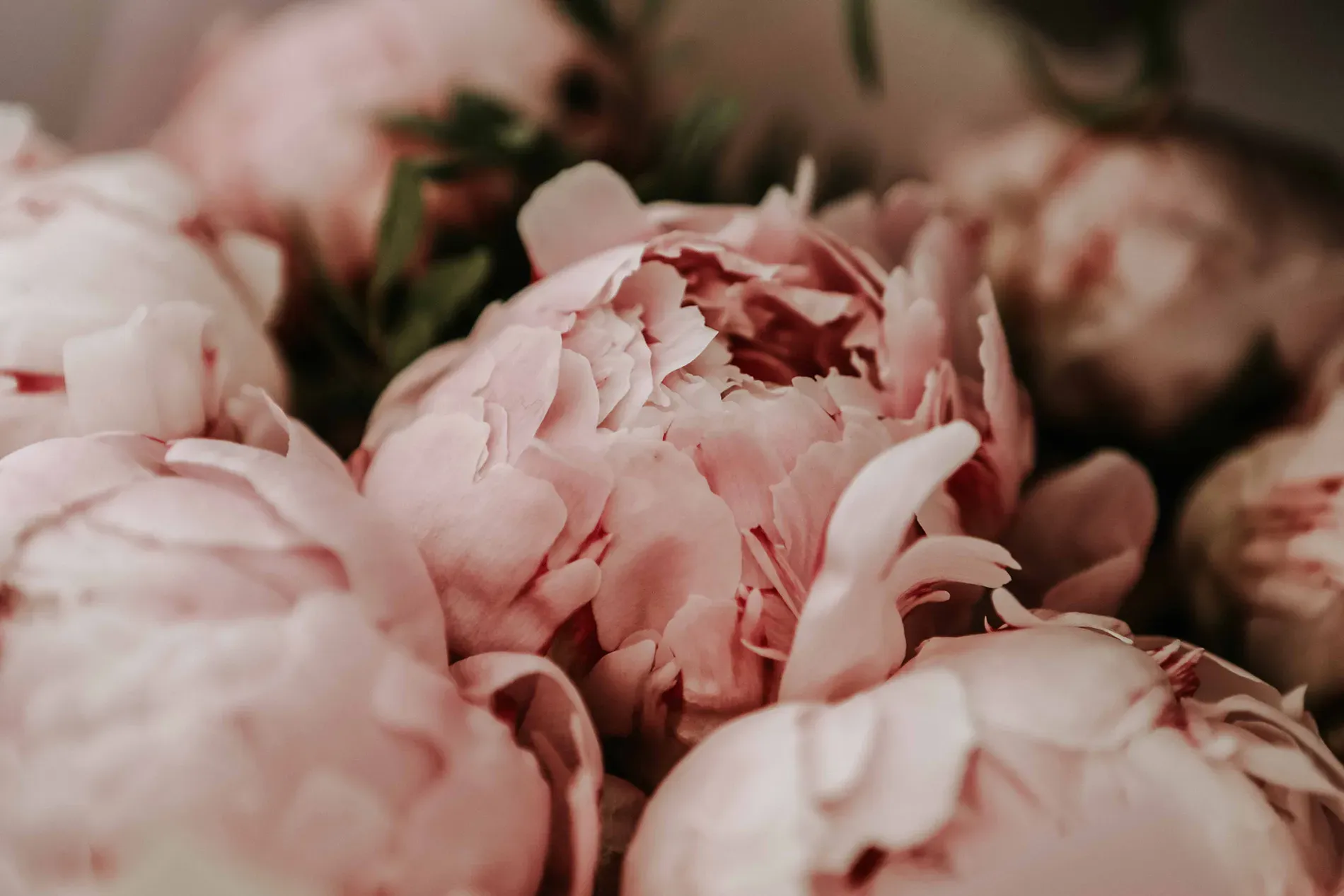 Send Flowers