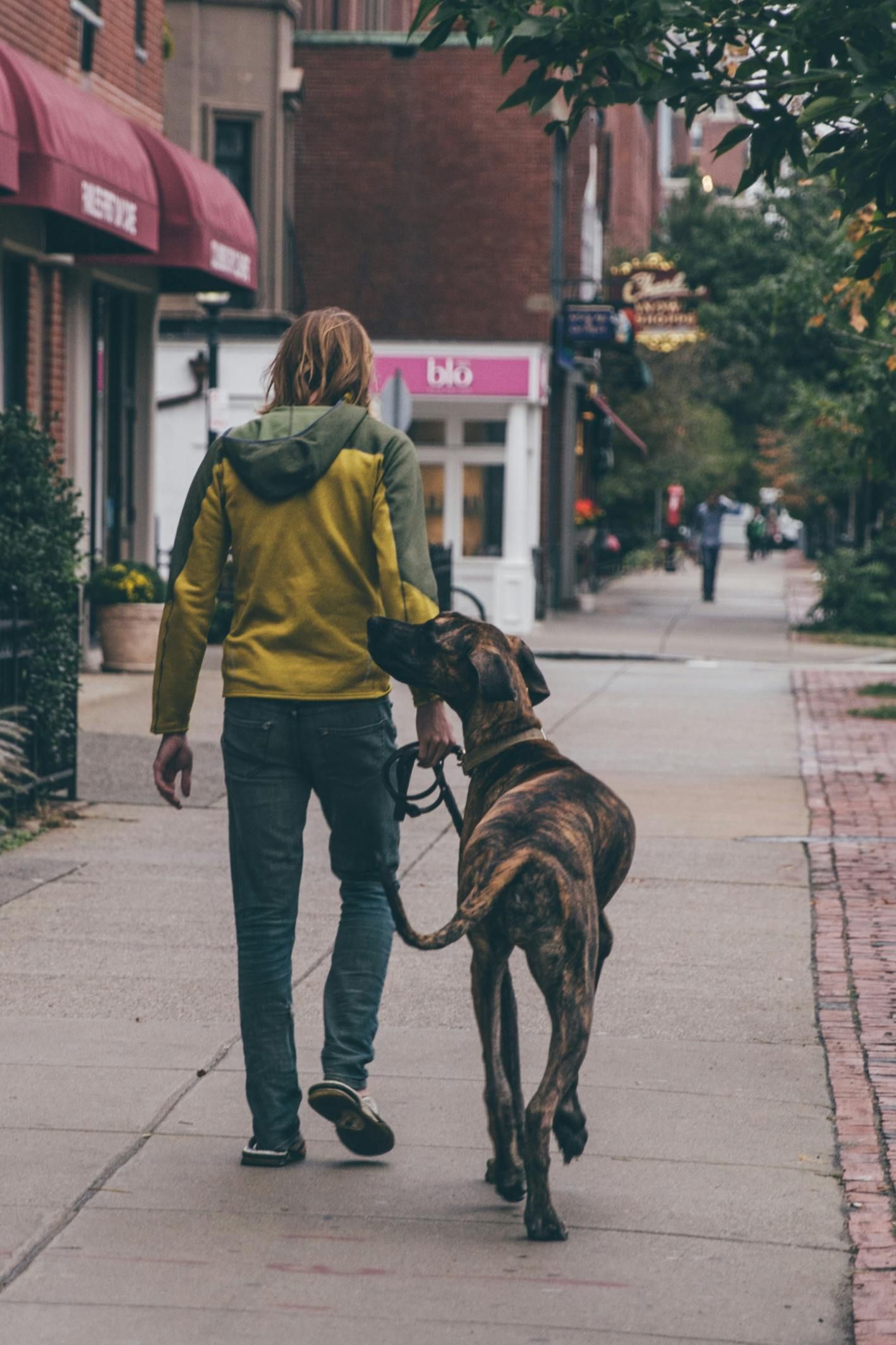 Man and his dog walking in Northern Liberties
