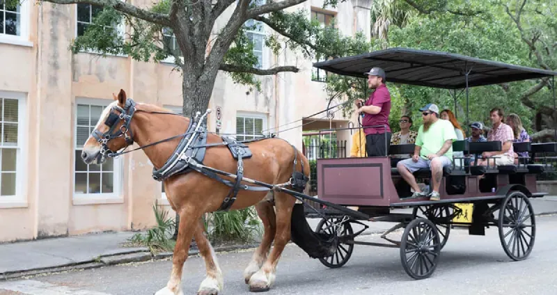 A horse is pulling a carriage with people in it.