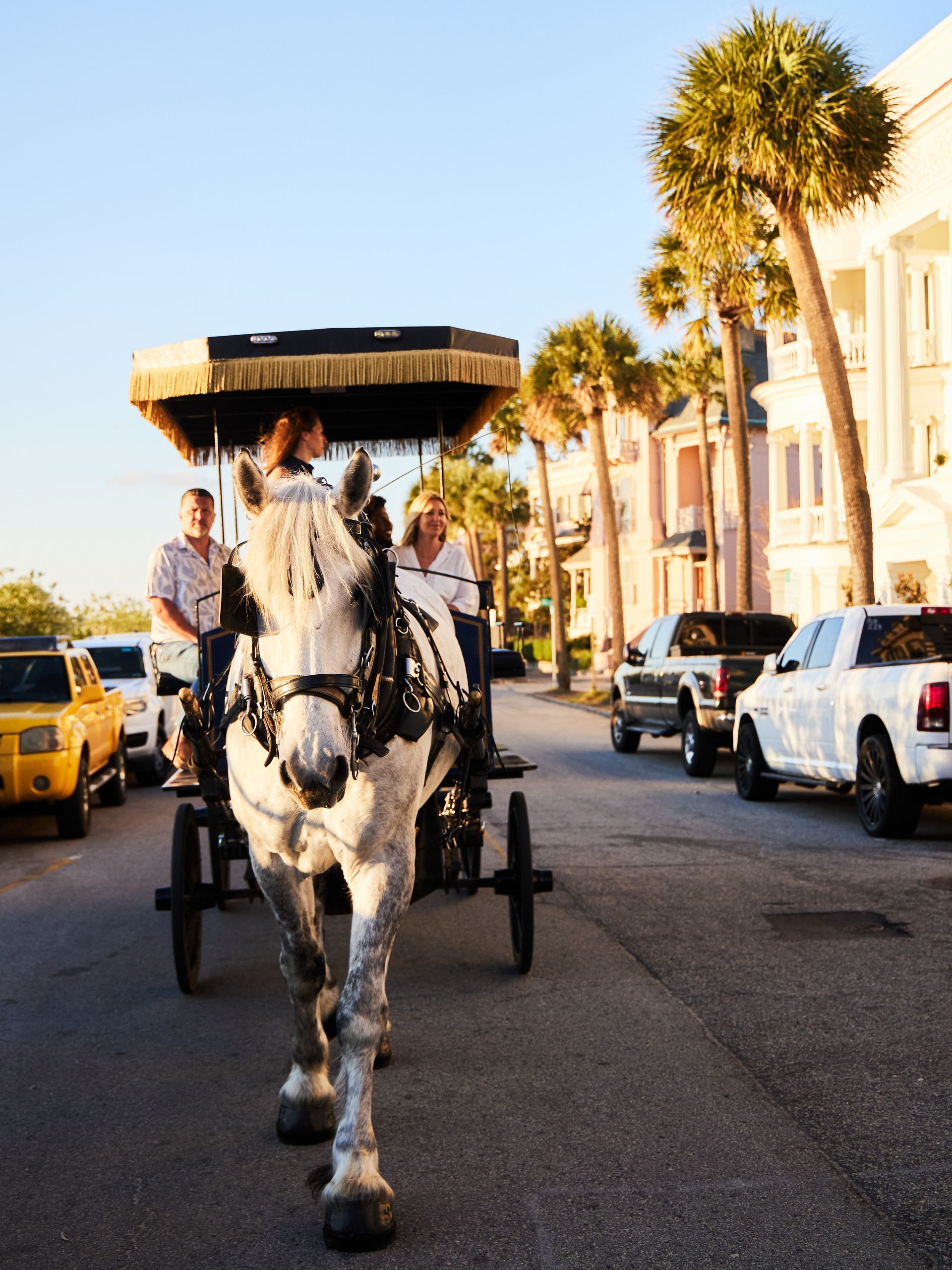 A horse drawn carriage is driving down a street