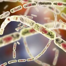 virus and blood borne pathogens biohazards