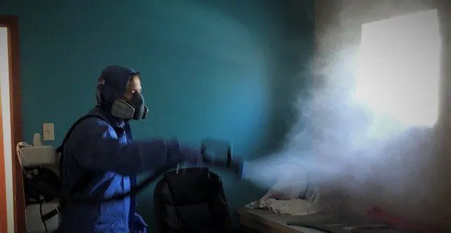 Professional Worker Doing Fogging Sanitation