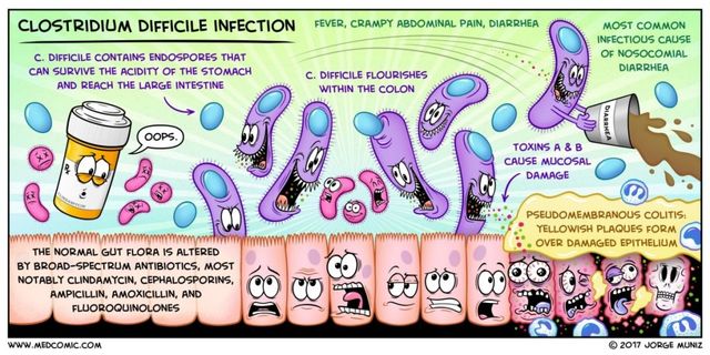 c diff lipase CDIFF Disinfection Cleaning and What is CDiff and how do I fight it? c diff poop pictures