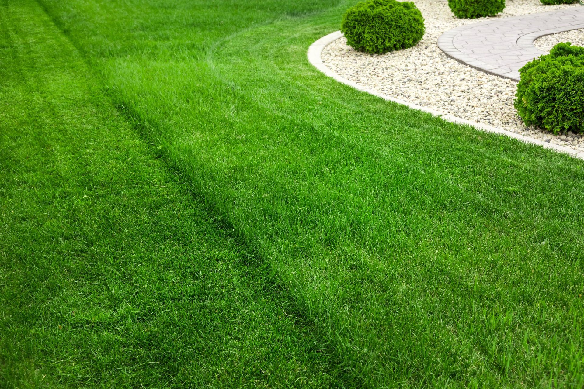 Landscaping & Lawn Care South Windsor, CT | OBEE Landscaping