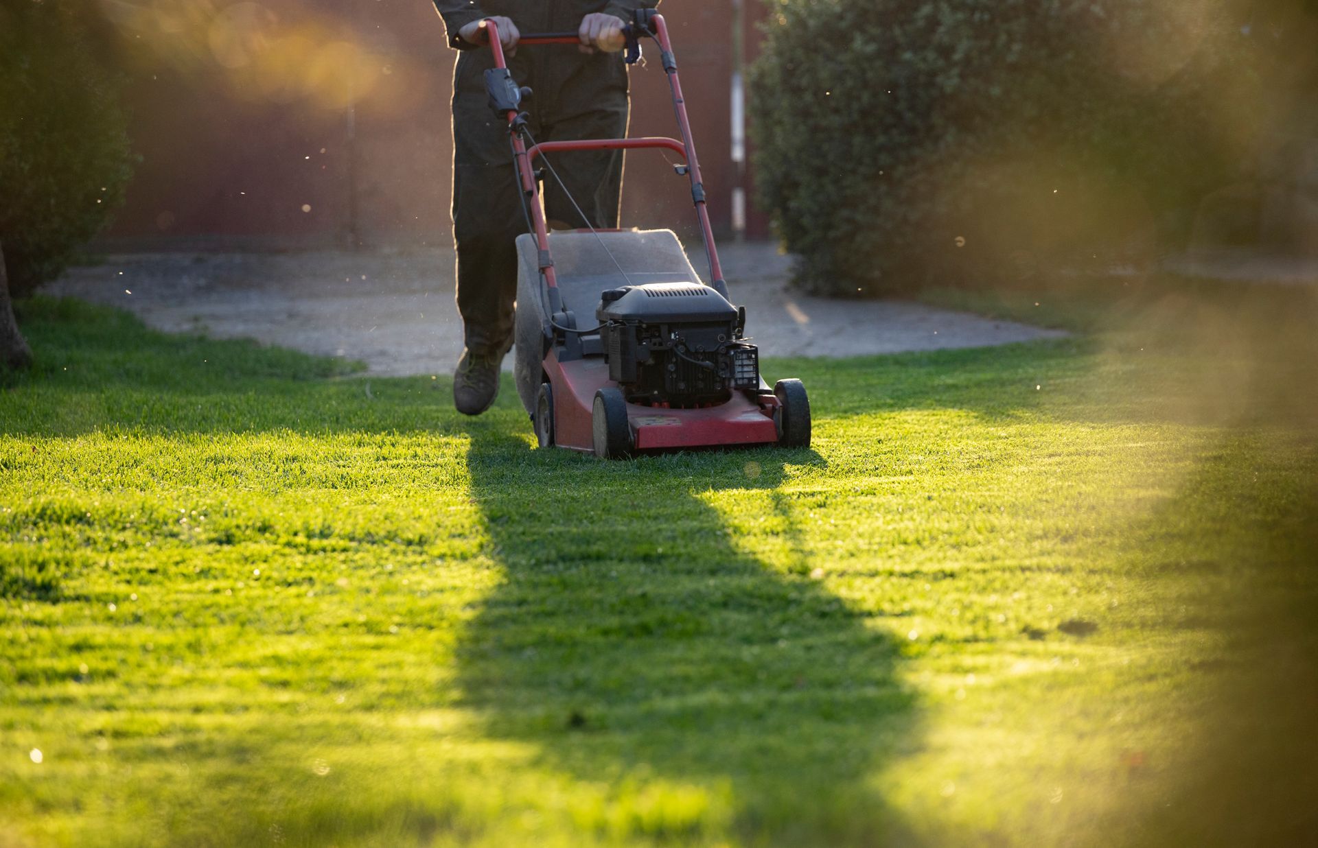 Person pushing a red lawn mower across a sunlit green yard with long shadows
