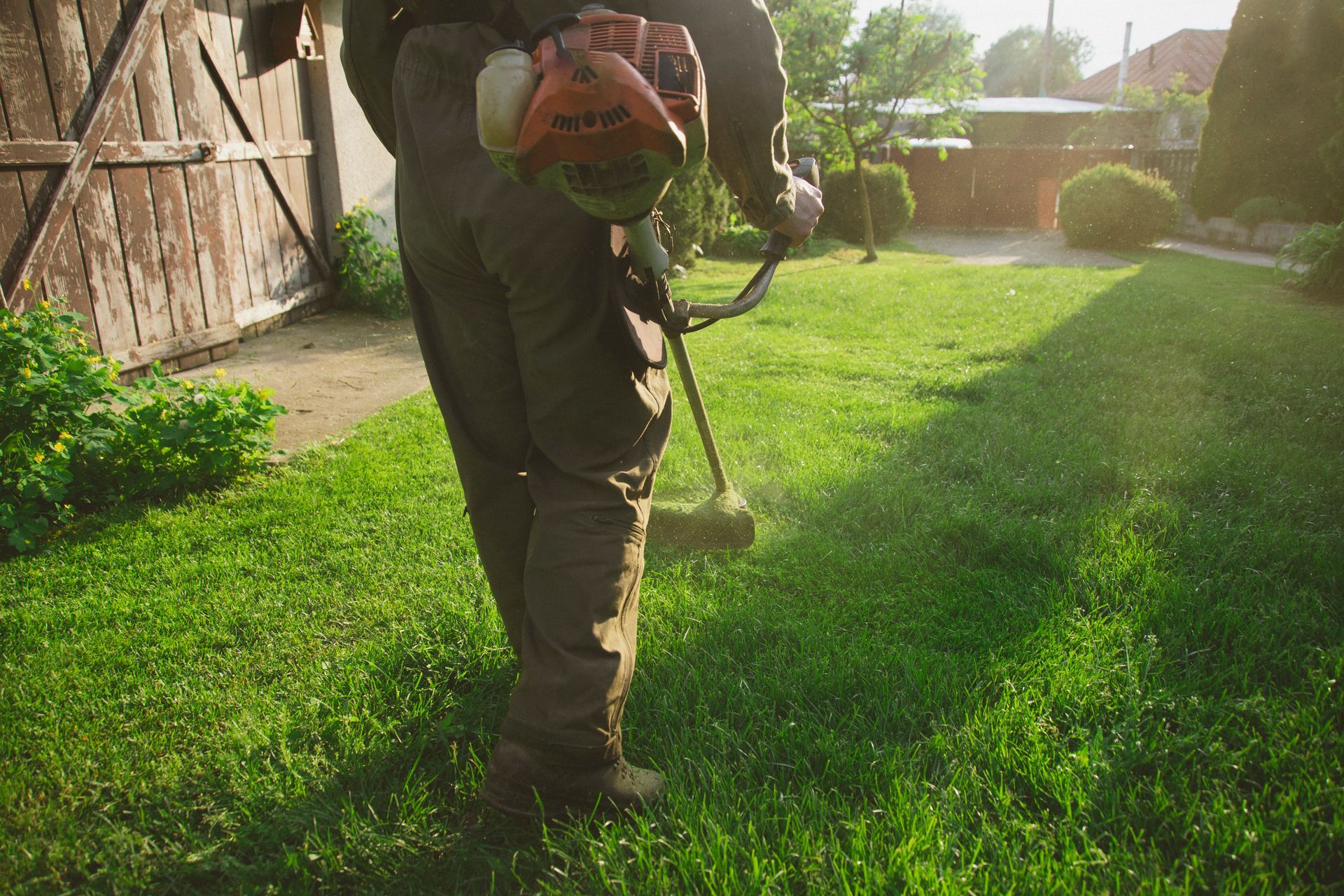 Person using a string trimmer on a sunny grassy lawn near a wooden fence and houses