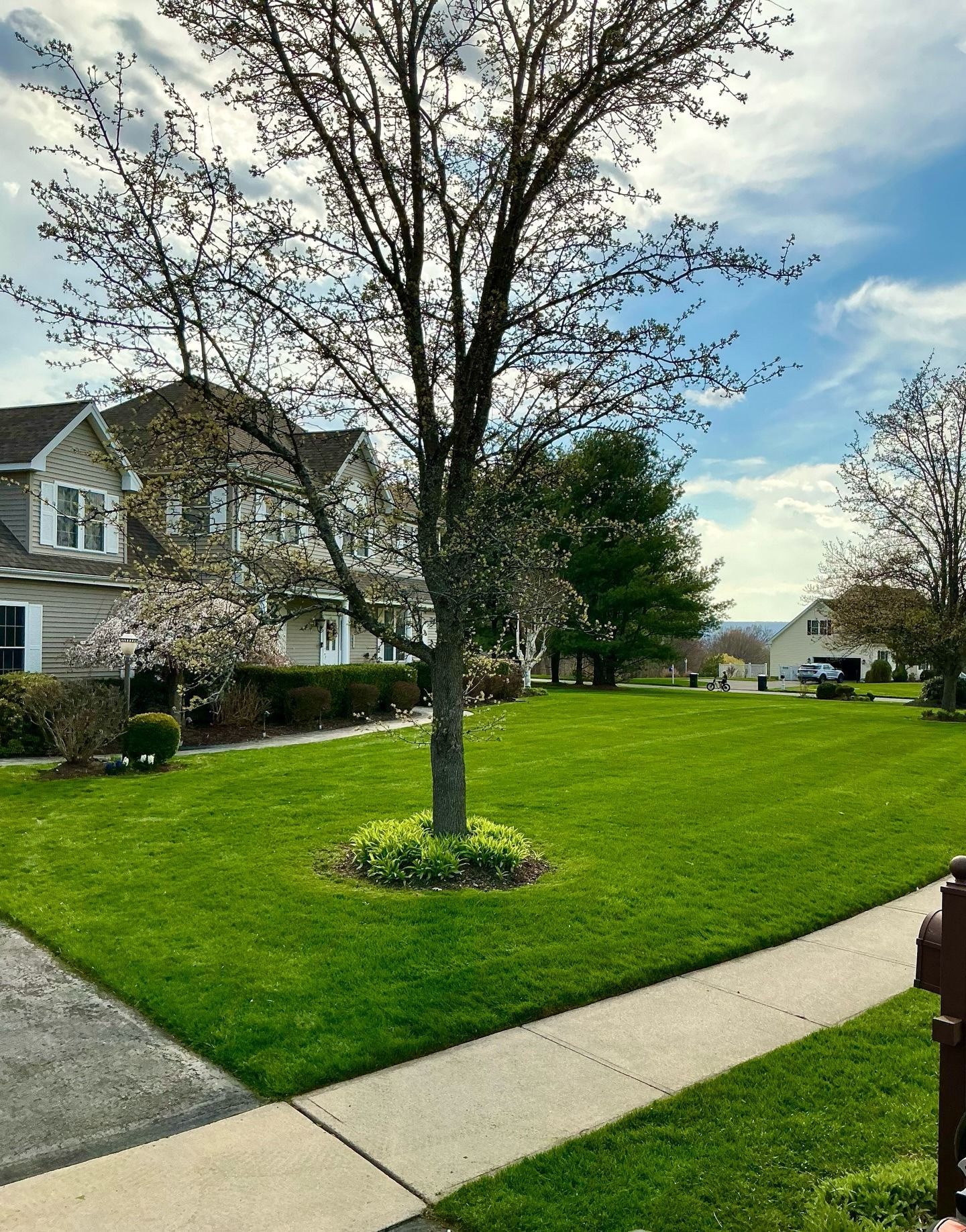 Landscaping & Lawn Care Glastonbury, CT | OBEE Landscaping
