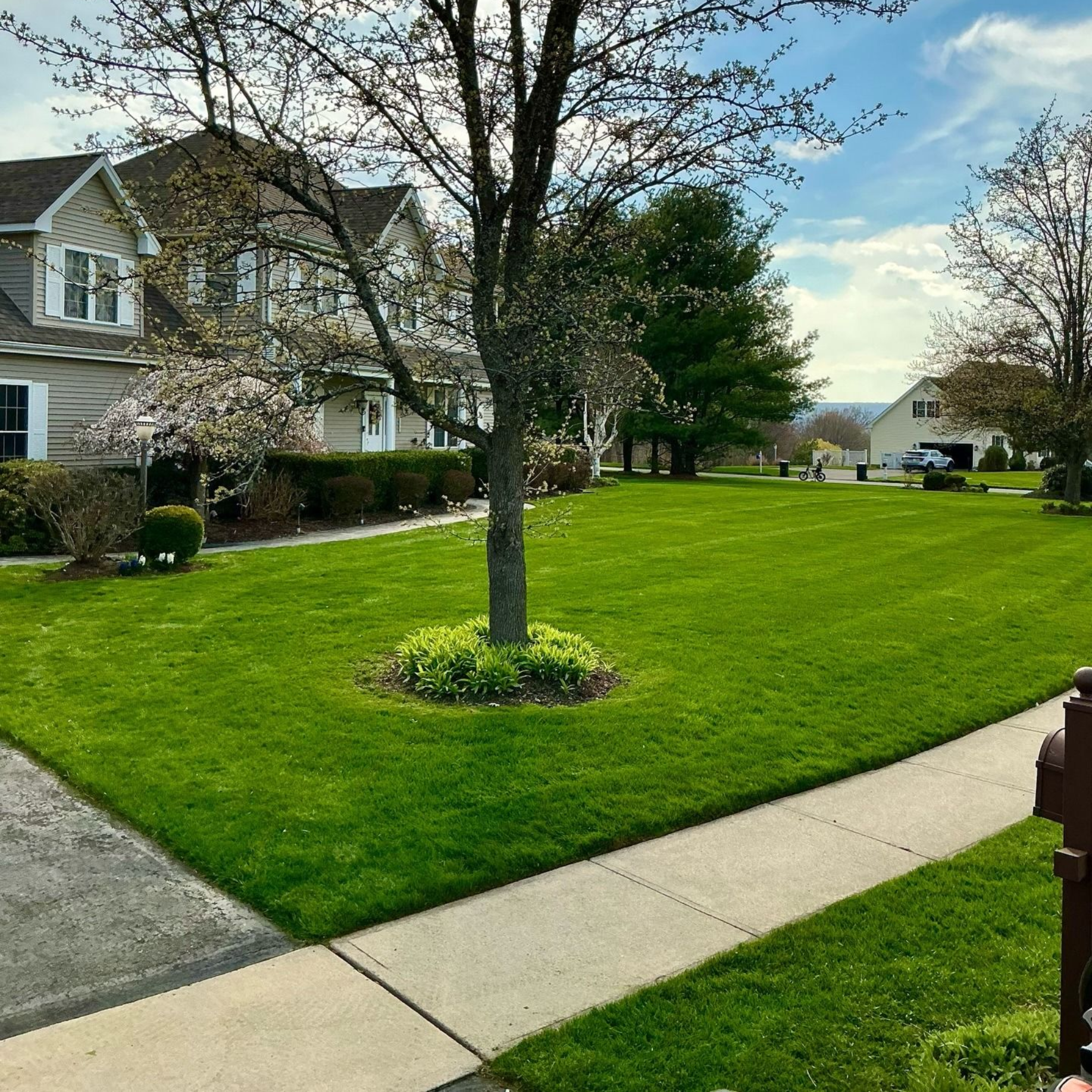 Landscaping & Lawn Care Wetherfield, CT | OBEE Landscaping