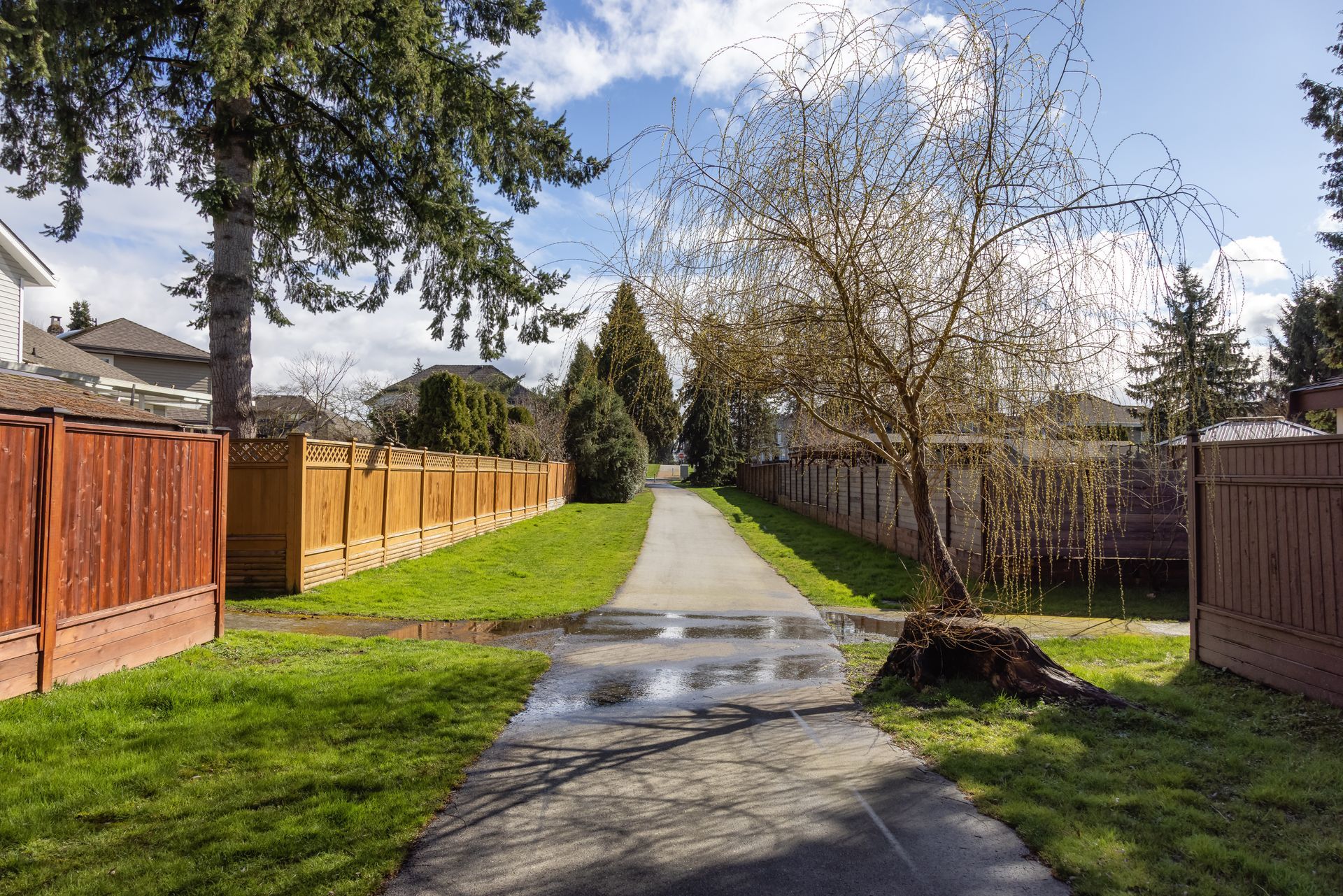 Tree-lined paved path between wooden fences on a sunny day, with puddles on the walkway.