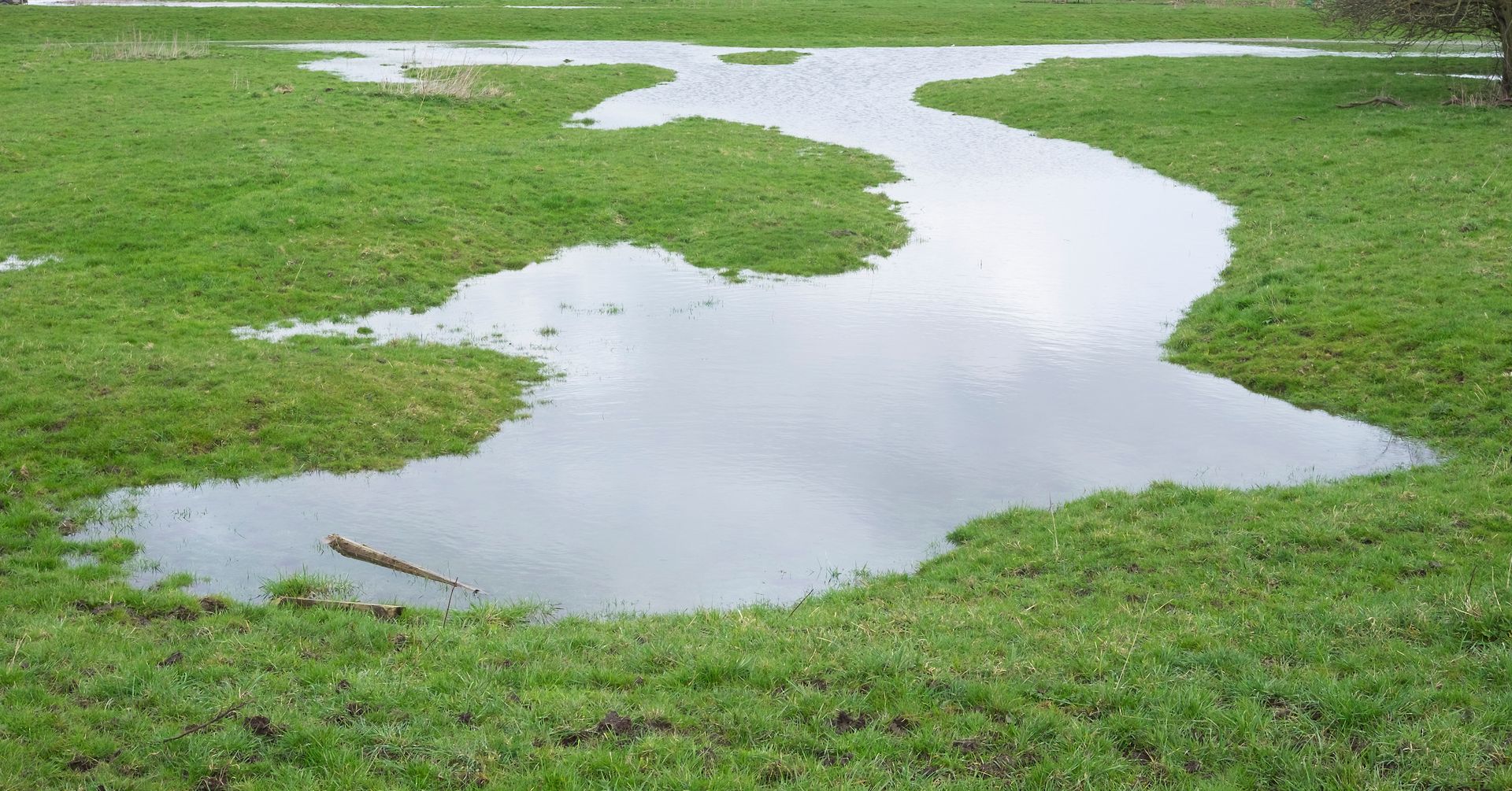 Pond-like puddle of water on a grassy field after rain