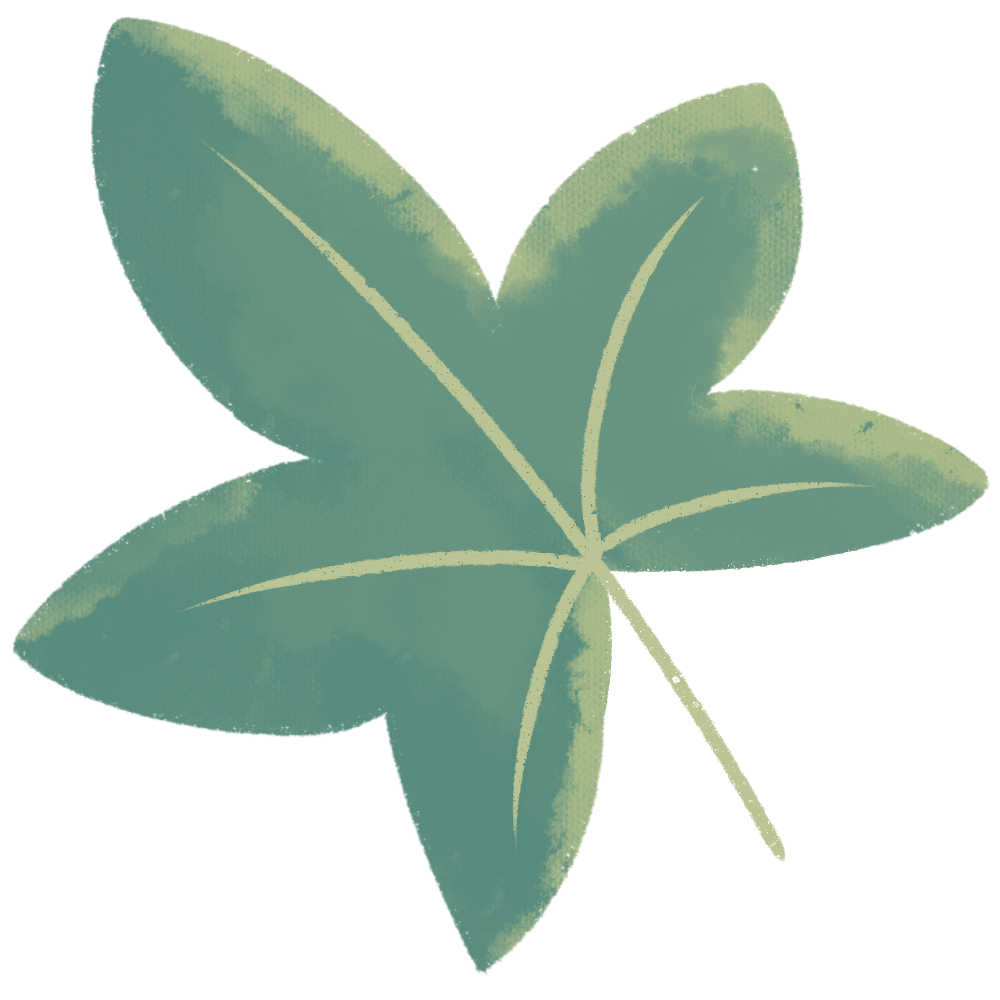 Green, five-lobed leaf with pale green veins and stem.