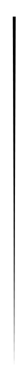 divisore