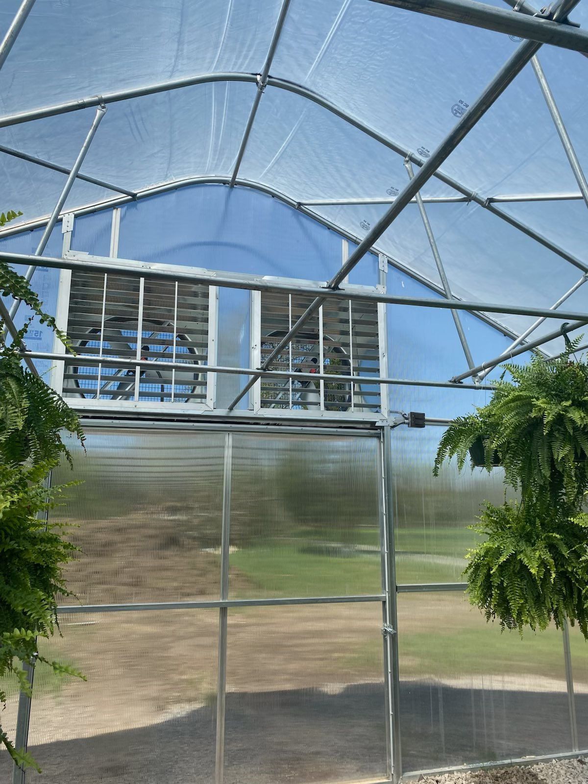 Inside a greenhouse with fans, plants hanging, and a blue sky visible.