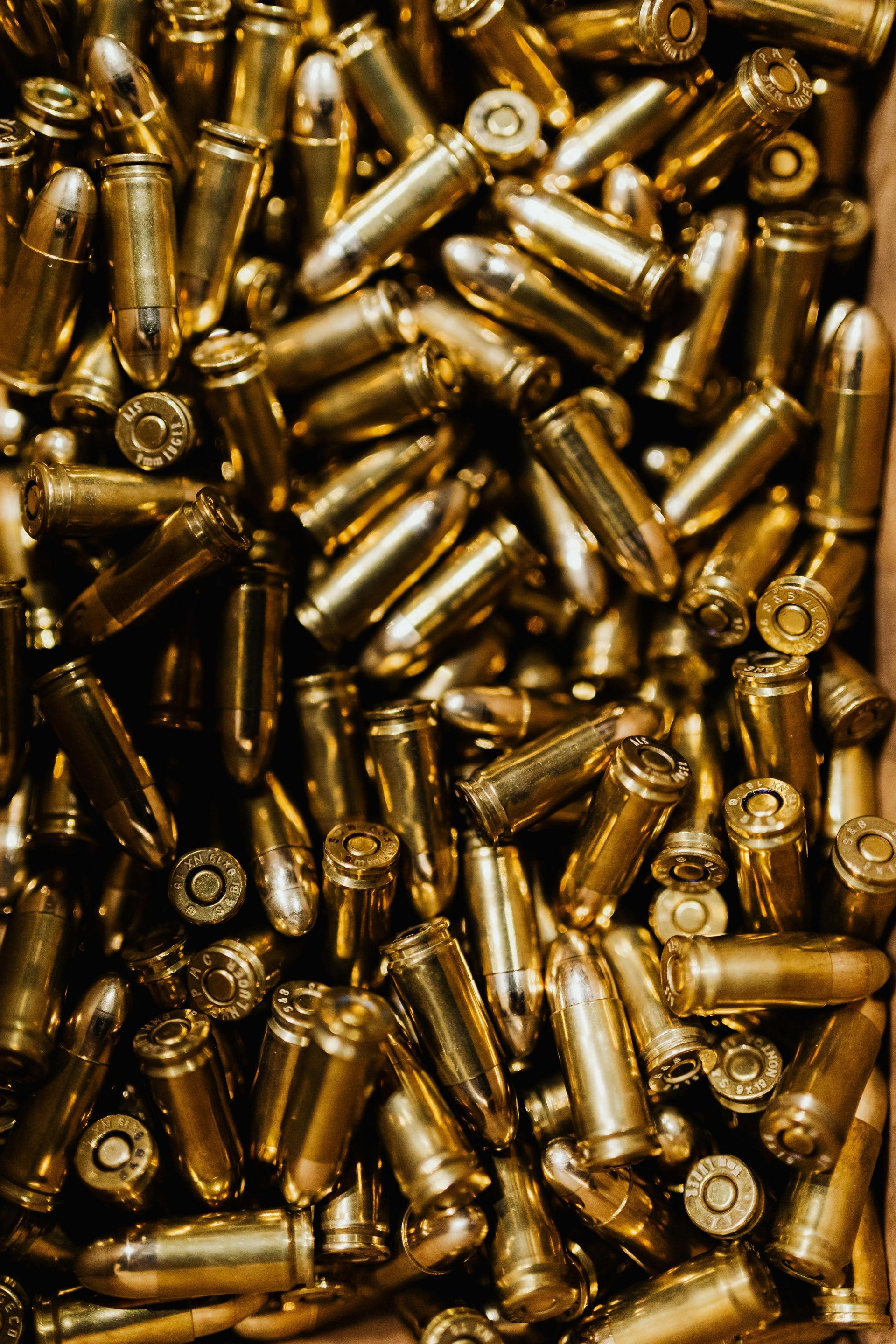 Gun
